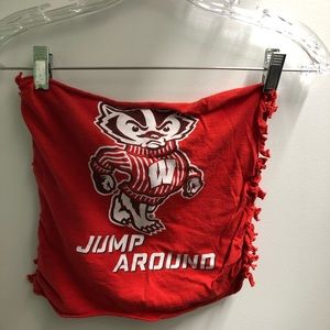 University of Wisconsin tube top